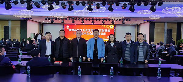 知所从来，方明所去:常德海仑党支部参与常德高新区建党100年党史学习汇报会