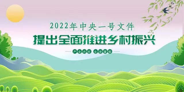 服务村落振兴，，老哥网物流“加把力”(图3)