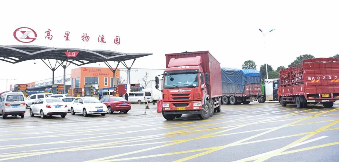 践行“三高四新”，彰显物流担任，老哥网用行动诠释使命(图2)
