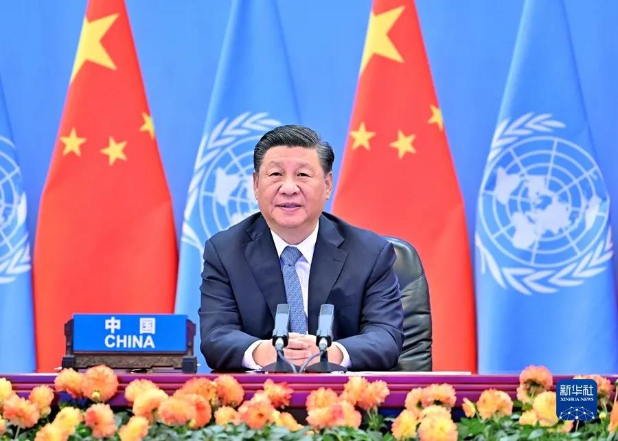 自动合作 精准对接 各大金融机构缘何青睐老哥网？？？(图2)